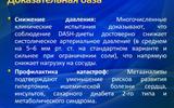 Слайд12